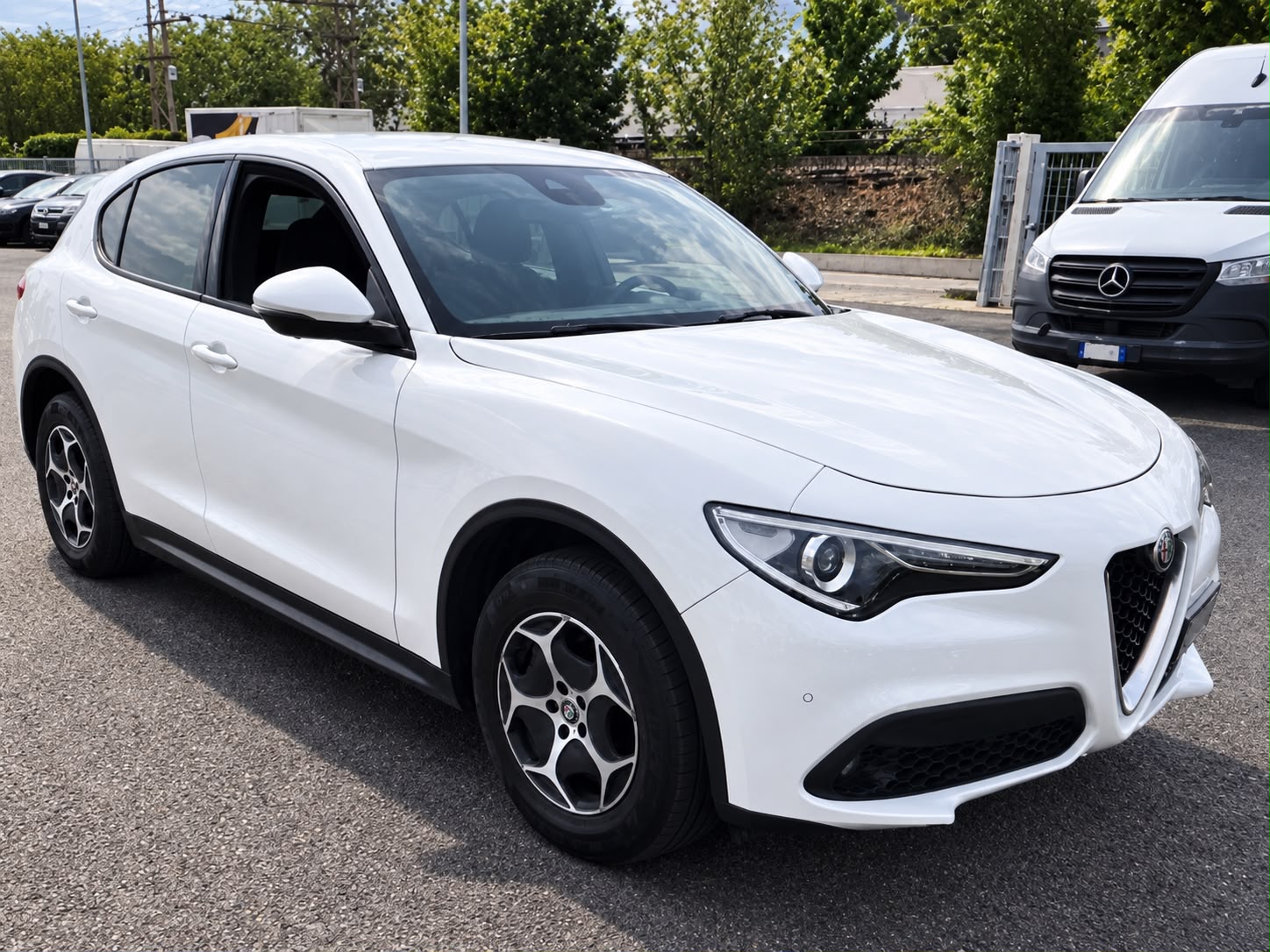 Immagine 6 - Alfa Romeo Stelvio Diesel 190CV Q4 Super Business 