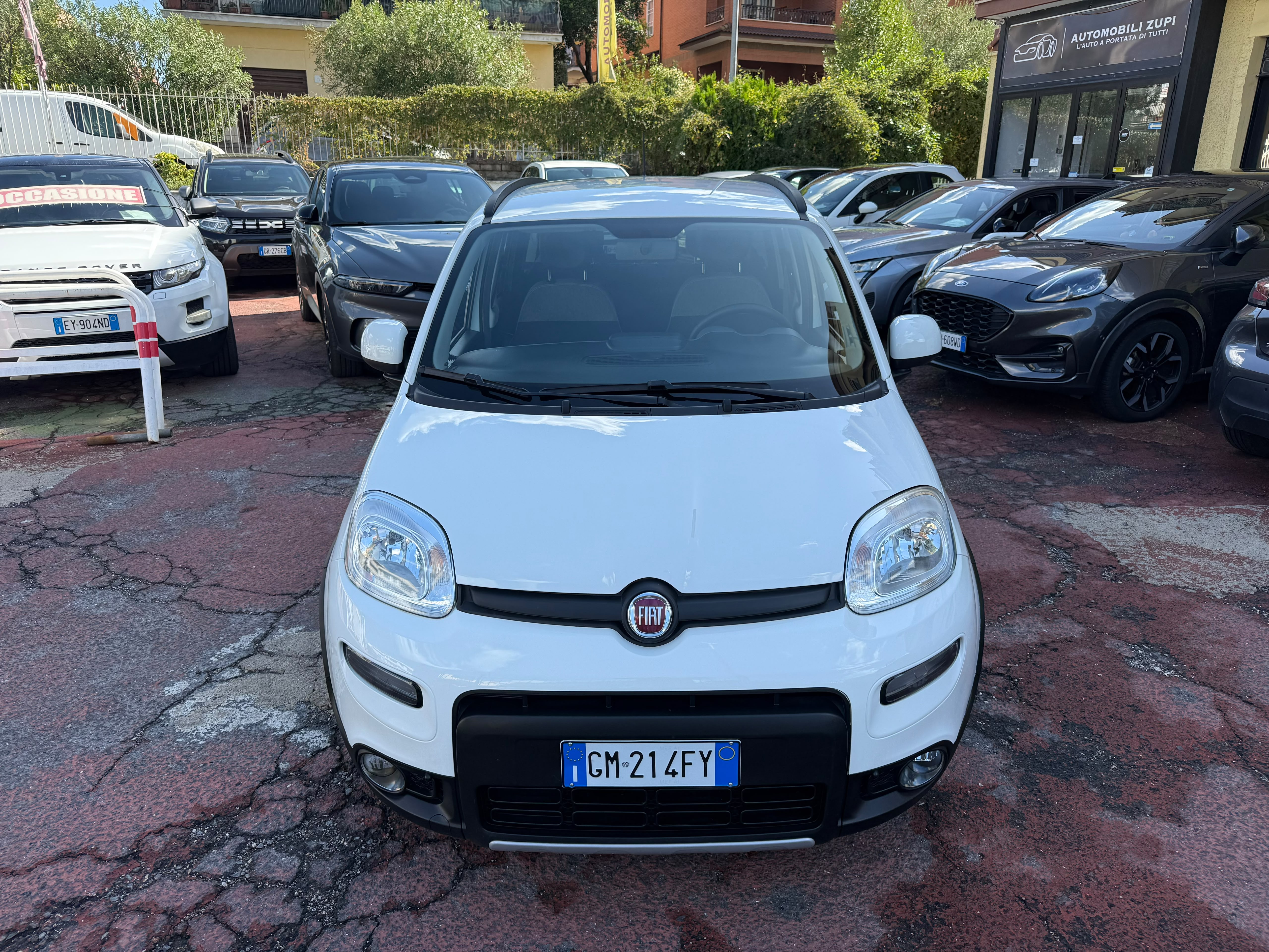 Immagine 1 - FIAT PANDA HYBRID ALL. CITY LIFE 